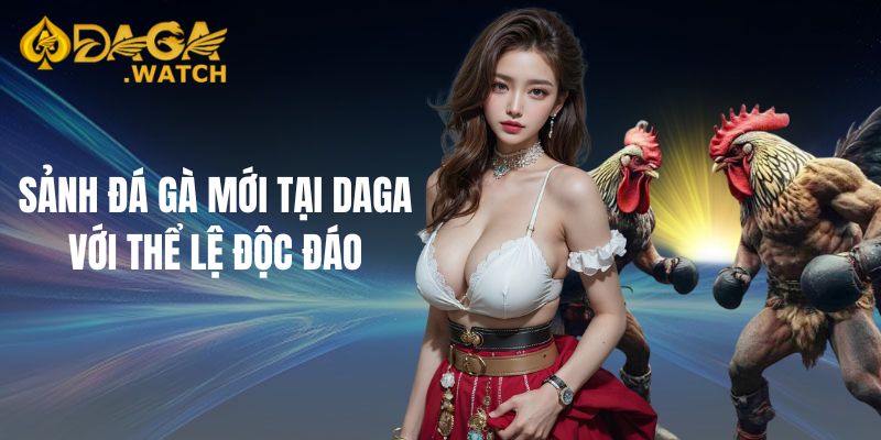 Sảnh đá gà mới tại DAGA với thể lệ độc đáo